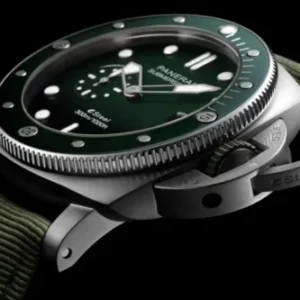 what are the advantages and disadvantages of using luxury watches?